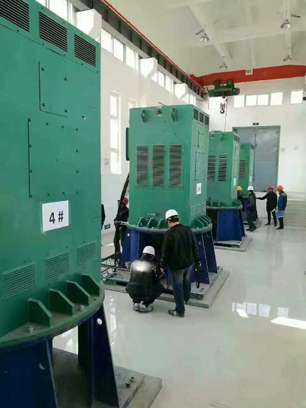 YKK5603-8某污水处理厂使用我厂的立式高压电机安装现场