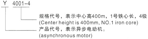 西安泰富西玛Y系列(H355-1000)高压YKK5603-8三相异步电机型号说明