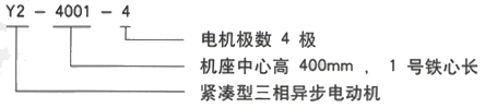 YR系列(H355-1000)高压YKK5603-8三相异步电机西安西玛电机型号说明